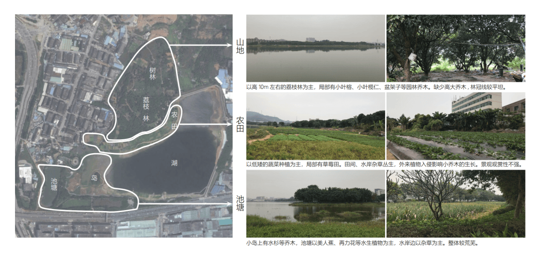 3个城市公园设计案例分享：小小城市公园大大能量(图34)