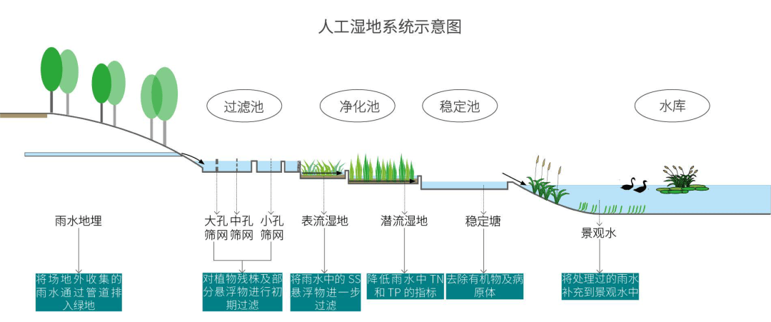 3个城市公园设计案例分享：小小城市公园大大能量(图40)